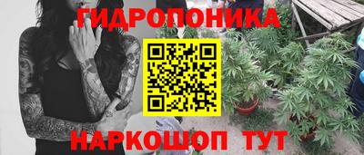 шишки Татарск