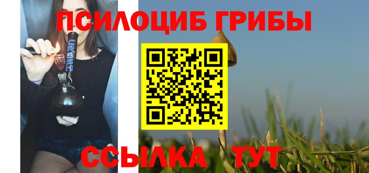 Псилоцибиновые грибы прущие грибы  Вход с VPN  Партизанск 